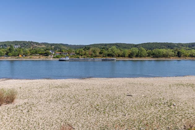 Niedrigwasser am Rhein: Yachthafen Oberwinter teilweise trockengefallen - 11.08.2026. Niedrigwasser am Rhein: Bei einem Pegelstand von -3 cm am Pegel Oberwinter und 70 cm am Pegel Bonn neue Tiefstwerte sind Teile des Yachthafens Oberwinter trockengefallen. Mehrere Boote liegen im Trockenen, eine Zufahrt in den Hafenbereich ist derzeit nicht mehr möglich. Am Rhein werden weiterhin neue Negativrekorde unterboten. Remagen Oberwinter Rheinland-Pfalz Deutschland Copyright: xMarcxJohnx