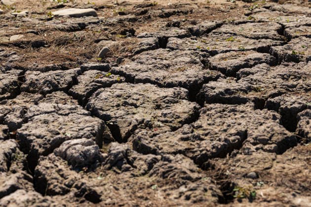 Niedrigwasser am Rhein: Yachthafen Oberwinter teilweise trockengefallen - 11.08.2026. Niedrigwasser am Rhein: Bei einem Pegelstand von -3 cm am Pegel Oberwinter und 70 cm am Pegel Bonn neue Tiefstwerte sind Teile des Yachthafens Oberwinter trockengefallen. Mehrere Boote liegen im Trockenen, eine Zufahrt in den Hafenbereich ist derzeit nicht mehr möglich. Am Rhein werden weiterhin neue Negativrekorde unterboten. Remagen Oberwinter Rheinland-Pfalz Deutschland Copyright: xMarcxJohnx