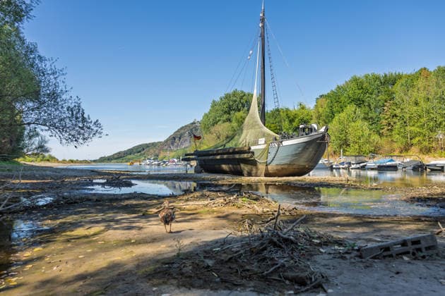 Niedrigwasser am Rhein: Aalschokker Aranka im trockengefallenen Nebenarm bei Insel Grafenwerth - 11.08.26. Niedrigwasser am Rhein: Bei einem Pegelstand von -3 cm am Pegel Oberwinter und 70 cm am Pegel Bonn neue Tiefstwerte liegt der Nebenarm an der Nordspitze der Insel Grafenwerth in Bad Honnef weitgehend trocken. Der historische Aalschokker Aranka liegt auf dem Trockenen, im Hintergrund die Grafenwerther Brücke und der Drachenfels. Die Rheinschifffahrt ist weiterhin stark eingeschränkt. Bad Honnef Insel Grafenwerth Nordrhein-Westfalen Deutschland Copyright: xMarcxJohnx