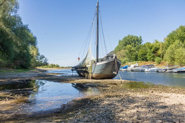 Niedrigwasser am Rhein: Aalschokker Aranka im trockengefallenen Nebenarm bei Insel Grafenwerth - 11.08.26. Niedrigwasser am Rhein: Bei einem Pegelstand von -3 cm am Pegel Oberwinter und 70 cm am Pegel Bonn neue Tiefstwerte liegt der Nebenarm an der Nordspitze der Insel Grafenwerth in Bad Honnef weitgehend trocken. Der historische Aalschokker Aranka liegt auf dem Trockenen, im Hintergrund die Grafenwerther Brücke und der Drachenfels. Die Rheinschifffahrt ist weiterhin stark eingeschränkt. Bad Honnef Insel Grafenwerth Nordrhein-Westfalen Deutschland Copyright: xMarcxJohnx