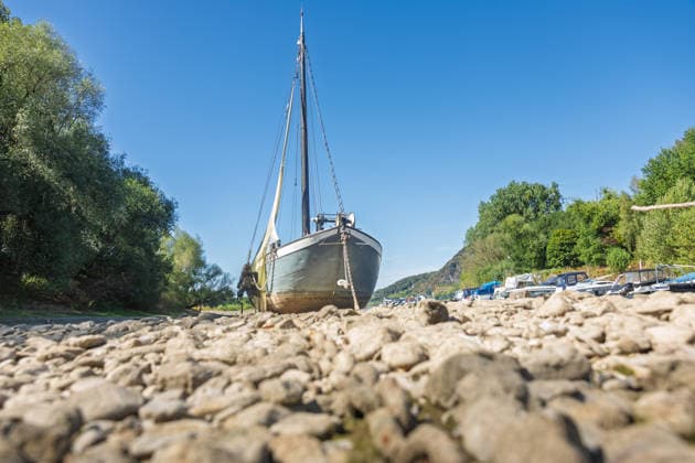 Niedrigwasser am Rhein: Aalschokker Aranka im trockengefallenen Nebenarm bei Insel Grafenwerth - 11.08.26. Niedrigwasser am Rhein: Bei einem Pegelstand von -3 cm am Pegel Oberwinter und 70 cm am Pegel Bonn neue Tiefstwerte liegt der Nebenarm an der Nordspitze der Insel Grafenwerth in Bad Honnef weitgehend trocken. Der historische Aalschokker Aranka liegt auf dem Trockenen, im Hintergrund die Grafenwerther Brücke und der Drachenfels. Die Rheinschifffahrt ist weiterhin stark eingeschränkt. Bad Honnef Insel Grafenwerth Nordrhein-Westfalen Deutschland Copyright: xMarcxJohnx