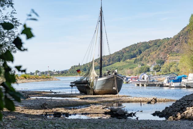 Niedrigwasser am Rhein: Aalschokker Aranka im trockengefallenen Nebenarm bei Insel Grafenwerth - 11.08.26. Niedrigwasser am Rhein: Bei einem Pegelstand von -3 cm am Pegel Oberwinter und 70 cm am Pegel Bonn neue Tiefstwerte liegt der Nebenarm an der Nordspitze der Insel Grafenwerth in Bad Honnef weitgehend trocken. Der historische Aalschokker Aranka liegt auf dem Trockenen, im Hintergrund die Grafenwerther Brücke und der Drachenfels. Die Rheinschifffahrt ist weiterhin stark eingeschränkt. Bad Honnef Insel Grafenwerth Nordrhein-Westfalen Deutschland Copyright: xMarcxJohnx