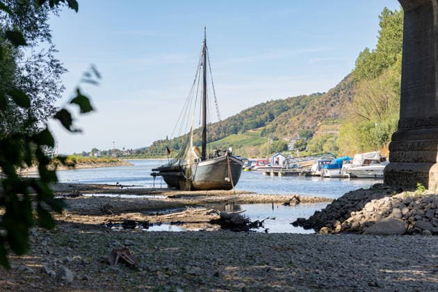 Niedrigwasser am Rhein: Aalschokker Aranka im trockengefallenen Nebenarm bei Insel Grafenwerth - 11.08.26. Niedrigwasser am Rhein: Bei einem Pegelstand von -3 cm am Pegel Oberwinter und 70 cm am Pegel Bonn neue Tiefstwerte liegt der Nebenarm an der Nordspitze der Insel Grafenwerth in Bad Honnef weitgehend trocken. Der historische Aalschokker Aranka liegt auf dem Trockenen, im Hintergrund die Grafenwerther Brücke und der Drachenfels. Die Rheinschifffahrt ist weiterhin stark eingeschränkt. Bad Honnef Insel Grafenwerth Nordrhein-Westfalen Deutschland Copyright: xMarcxJohnx