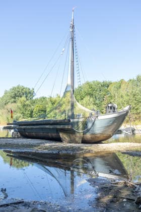 Niedrigwasser am Rhein: Aalschokker Aranka im trockengefallenen Nebenarm bei Insel Grafenwerth - 11.08.26. Niedrigwasser am Rhein: Bei einem Pegelstand von -3 cm am Pegel Oberwinter und 70 cm am Pegel Bonn neue Tiefstwerte liegt der Nebenarm an der Nordspitze der Insel Grafenwerth in Bad Honnef weitgehend trocken. Der historische Aalschokker Aranka liegt auf dem Trockenen, im Hintergrund die Grafenwerther Brücke und der Drachenfels. Die Rheinschifffahrt ist weiterhin stark eingeschränkt. Bad Honnef Insel Grafenwerth Nordrhein-Westfalen Deutschland Copyright: xMarcxJohnx
