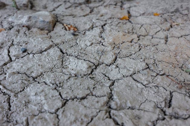 Symbolbild zum Thema starke Trockenheit. Ausgetrockneter Boden mit Rissen bei Siegen-Oberschelden. Sommer im Siegerland am 12.08.2026 in Siegen Deutschland.