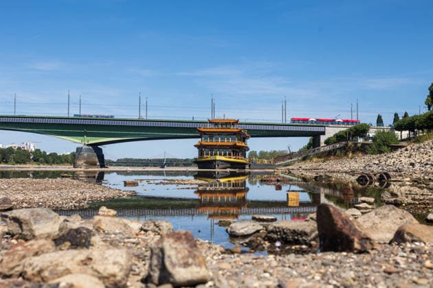 Nur noch kleine Wasserreste: Niedrigwasser legt Rheinbett in Bonn-Beuel frei Bonn, 12.08.2026: Am Beueler Rheinufer in Bonn sind infolge des extremen Niedrigwassers weite Bereiche des Rheinbetts freigelegt. Zwischen den trockengefallenen Flächen sind nur noch einzelne kleine Wasserreste des Rheins zu sehen. Im Hintergrund liegt das auf dem freigelegten Uferbereich sichtbare Chinaschiff. Der Rhein führt derzeit außergewöhnlich wenig Wasser. In Nordrhein-Westfalen werden inzwischen teils historische Tiefststände gemeldet; die niedrigen Pegel schränken auch die Binnenschifffahrt erheblich ein. Bonn Beuel Nordrhein-Westfalen Deutschland