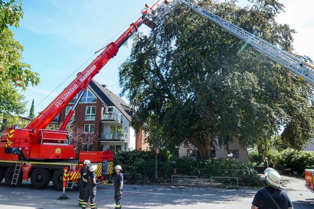 CNTV BAUMKRONE - Feuerwehr mit grossen Geraet im Einsatz Angebrochene Baumkrone droht auf die Strasse zu stürzen 12.AUGUST 2026 Hamburg Wandsbek-Marienthal Mittwoch kam es zu einem stundenlangen Einsatz für die Hamburger Feuerwehr. Eine tonnenschwere Baumkrone war angebrochen und drohte auf die Strasse Baerenalle zu stuerzen In den Nachmittagsstunden konnte die Baumkrone dann abgesägt, angehoben und mit Hilfe des Feuerwehrkrans auf die Strasse gelegt werden um dort in kleine Teile zersägt zu werden Hamburg Deutschland