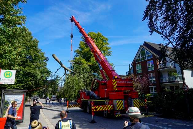 CNTV BAUMKRONE - Feuerwehr mit grossen Geraet im Einsatz Angebrochene Baumkrone droht auf die Strasse zu stürzen 12.AUGUST 2026 Hamburg Wandsbek-Marienthal Mittwoch kam es zu einem stundenlangen Einsatz für die Hamburger Feuerwehr. Eine tonnenschwere Baumkrone war angebrochen und drohte auf die Strasse Baerenalle zu stuerzen In den Nachmittagsstunden konnte die Baumkrone dann abgesägt, angehoben und mit Hilfe des Feuerwehrkrans auf die Strasse gelegt werden um dort in kleine Teile zersägt zu werden Hamburg Deutschland