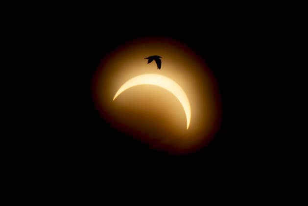 Solar Eclipse in Denmark Solar eclipse in Denmark at Mariager Fjord on Wednesday, August 12, 2026. Denmark experiences a rare solar eclipse on Wednesday between 19:00 and 21:00. At 20:04, when the eclipse is at its peak, approximately 84 percent of the solar disk is covered. , Mariager Denmark Mors Copyright: BoxAmrstrupx xRitzauxScanpix BoxAmstrupx spdk20260812-203015-L
