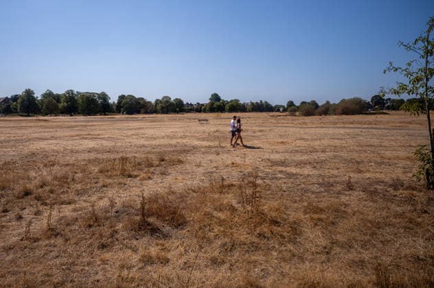 August 13, 2026, London, UK: London, UK. Walkers brave the 37c heat on Wimbledon Common, southwest London today. Weather forecasters issue further Amber high heat weather alerts for London and the South East this week as the South has had hardly any rain for over 40 days. London UK  - ZUMAl94_ 20260813_zaf_l94_034 Copyright: xAlexxLentatix
