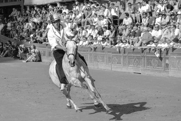 August 13, 2026, Siena, Toscana, ITALIA: Siena, Piazza del Campo Ã¢â‚¬ August 13, 2026. The *Tratta* took place this morning; it is one of the key moments of the Palio, during which the selected horses are assigned by lot to the ten *Contrade* participating in the race on August 16. Siena ITALIA - ZUMAs236 20260813_aap_s236_004 Copyright: xFabioxSassox