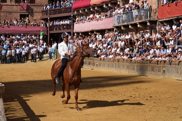 August 13, 2026, Siena, Toscana, ITALIA: Siena, Piazza del Campo Ã¢â‚¬ August 13, 2026. The *Tratta* took place this morning; it is one of the key moments of the Palio, during which the selected horses are assigned by lot to the ten *Contrade* participating in the race on August 16. Siena ITALIA - ZUMAs236 20260813_aap_s236_017 Copyright: xFabioxSassox