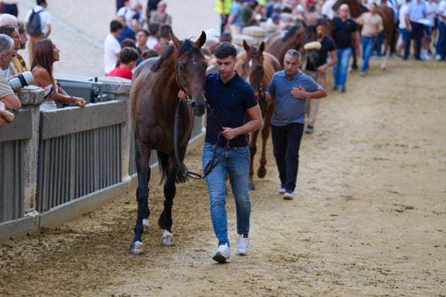 August 13, 2026, Siena, Toscana, ITALIA: Siena, Piazza del Campo Ã¢â‚¬ August 13, 2026. The *Tratta* took place this morning; it is one of the key moments of the Palio, during which the selected horses are assigned by lot to the ten *Contrade* participating in the race on August 16. Siena ITALIA - ZUMAs236 20260813_aap_s236_026 Copyright: xFabioxSassox