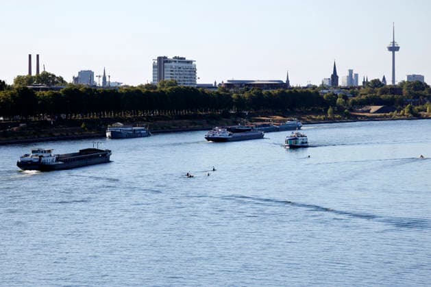 Bei ausbleibenden Regen ist der historisch niedrige Wasserstand des Rheins in NRW noch weiter gefallen. In Köln ist am Donnerstag (13. August) ein Wert on 49 Zentimetern gemessen worden. Der Rheinpegel ist in Köln damit auf einem Rekordtief. Viele Rheinwiesen sind verdorrt und versteppt und der sonst so stolze Fluss hat sich tief in sein Bett zurückgezogen, gibt den Blick auf trockene Ufer frei. (Themenbild, Symbolbild) Köln, 13.08.2026 NRW Deutschland Copyright: xChristophxHardtx