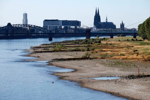 Bei ausbleibenden Regen ist der historisch niedrige Wasserstand des Rheins in NRW noch weiter gefallen. In Köln ist am Donnerstag (13. August) ein Wert on 49 Zentimetern gemessen worden. Der Rheinpegel ist in Köln damit auf einem Rekordtief. Viele Rheinwiesen sind verdorrt und versteppt und der sonst so stolze Fluss hat sich tief in sein Bett zurückgezogen, gibt den Blick auf trockene Ufer frei. (Themenbild, Symbolbild) Köln, 13.08.2026 NRW Deutschland Copyright: xChristophxHardtx
