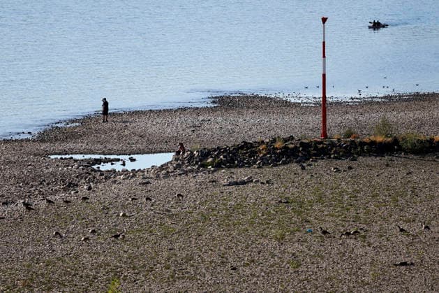 Bei ausbleibenden Regen ist der historisch niedrige Wasserstand des Rheins in NRW noch weiter gefallen. In Köln ist am Donnerstag (13. August) ein Wert on 49 Zentimetern gemessen worden. Der Rheinpegel ist in Köln damit auf einem Rekordtief. Viele Rheinwiesen sind verdorrt und versteppt und der sonst so stolze Fluss hat sich tief in sein Bett zurückgezogen, gibt den Blick auf trockene Ufer frei. (Themenbild, Symbolbild) Köln, 13.08.2026 NRW Deutschland Copyright: xChristophxHardtx