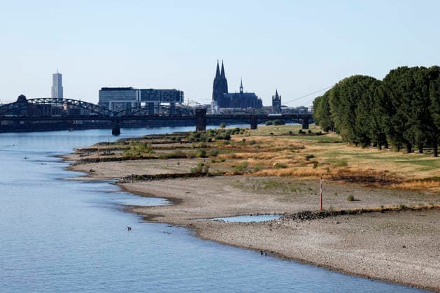 Bei ausbleibenden Regen ist der historisch niedrige Wasserstand des Rheins in NRW noch weiter gefallen. In Köln ist am Donnerstag (13. August) ein Wert on 49 Zentimetern gemessen worden. Der Rheinpegel ist in Köln damit auf einem Rekordtief. Viele Rheinwiesen sind verdorrt und versteppt und der sonst so stolze Fluss hat sich tief in sein Bett zurückgezogen, gibt den Blick auf trockene Ufer frei. (Themenbild, Symbolbild) Köln, 13.08.2026 NRW Deutschland Copyright: xChristophxHardtx