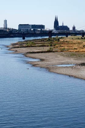 Bei ausbleibenden Regen ist der historisch niedrige Wasserstand des Rheins in NRW noch weiter gefallen. In Köln ist am Donnerstag (13. August) ein Wert on 49 Zentimetern gemessen worden. Der Rheinpegel ist in Köln damit auf einem Rekordtief. Viele Rheinwiesen sind verdorrt und versteppt und der sonst so stolze Fluss hat sich tief in sein Bett zurückgezogen, gibt den Blick auf trockene Ufer frei. (Themenbild, Symbolbild) Köln, 13.08.2026 NRW Deutschland Copyright: xChristophxHardtx
