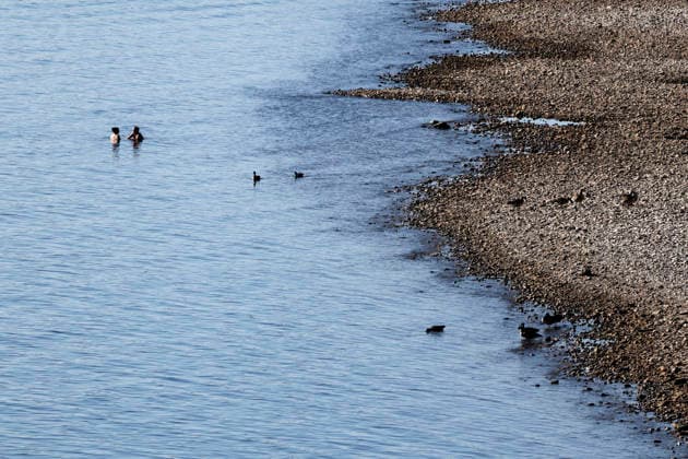 Bei ausbleibenden Regen ist der historisch niedrige Wasserstand des Rheins in NRW noch weiter gefallen. In Köln ist am Donnerstag (13. August) ein Wert on 49 Zentimetern gemessen worden. Der Rheinpegel ist in Köln damit auf einem Rekordtief. Viele Rheinwiesen sind verdorrt und versteppt und der sonst so stolze Fluss hat sich tief in sein Bett zurückgezogen, gibt den Blick auf trockene Ufer frei. (Themenbild, Symbolbild) Köln, 13.08.2026 NRW Deutschland Copyright: xChristophxHardtx