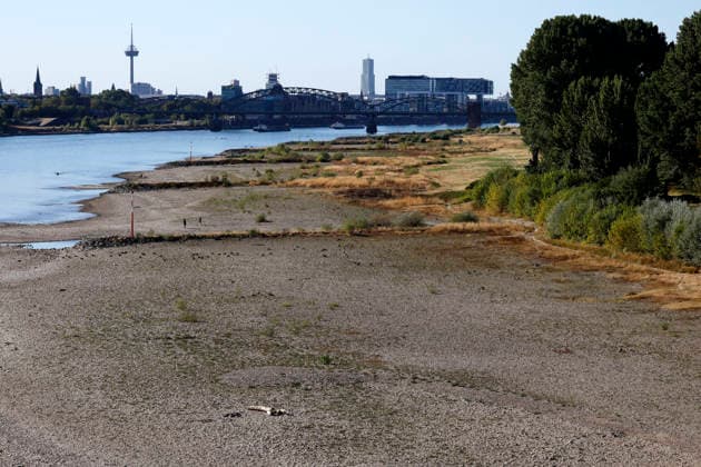 Bei ausbleibenden Regen ist der historisch niedrige Wasserstand des Rheins in NRW noch weiter gefallen. In Köln ist am Donnerstag (13. August) ein Wert on 49 Zentimetern gemessen worden. Der Rheinpegel ist in Köln damit auf einem Rekordtief. Viele Rheinwiesen sind verdorrt und versteppt und der sonst so stolze Fluss hat sich tief in sein Bett zurückgezogen, gibt den Blick auf trockene Ufer frei. (Themenbild, Symbolbild) Köln, 13.08.2026 NRW Deutschland Copyright: xChristophxHardtx
