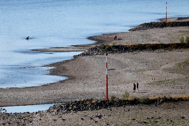 Bei ausbleibenden Regen ist der historisch niedrige Wasserstand des Rheins in NRW noch weiter gefallen. In Köln ist am Donnerstag (13. August) ein Wert on 49 Zentimetern gemessen worden. Der Rheinpegel ist in Köln damit auf einem Rekordtief. Viele Rheinwiesen sind verdorrt und versteppt und der sonst so stolze Fluss hat sich tief in sein Bett zurückgezogen, gibt den Blick auf trockene Ufer frei. (Themenbild, Symbolbild) Köln, 13.08.2026 NRW Deutschland Copyright: xChristophxHardtx