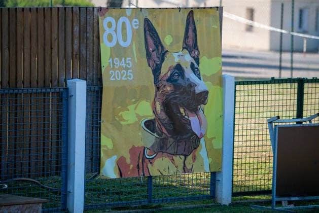 French Center Training Gendarmerie Dog Teams - Gramat The Centre National d’Instruction Cynophile de la Gendarmerie (CNICG) in Gramat, Lot, France on Undated, the sole French center training gendarmerie canine teams since 1945, operates across 14 hectares with nine kennels accommodating up to 150 dogs simultaneously, training 350 students annually in intensive courses to form handler-dog pairs, with dogs—primarily Belgian Malinois—specializing in person search, narcotics detection, explosives, weapons, and electronic media detection. August 13, 2026. Photo by Denis Prezat ABACAPRESS.COM Gramat France Copyright: xPrezatxDenis ABACAx