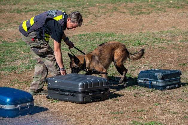 French Center Training Gendarmerie Dog Teams - Gramat The Centre National d’Instruction Cynophile de la Gendarmerie (CNICG) in Gramat, Lot, France on Undated, the sole French center training gendarmerie canine teams since 1945, operates across 14 hectares with nine kennels accommodating up to 150 dogs simultaneously, training 350 students annually in intensive courses to form handler-dog pairs, with dogs—primarily Belgian Malinois—specializing in person search, narcotics detection, explosives, weapons, and electronic media detection. August 13, 2026. Photo by Denis Prezat ABACAPRESS.COM Gramat France Copyright: xPrezatxDenis ABACAx