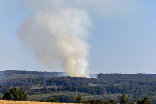 Waldbrand Möhnesee Seit 15:00 Uhr bekämpfen die Einsatzkräfte von Feuerwehr, Rettungsdienst, Hilfsorganisationen und Polizei aus dem gesamten Kreisgebiet einen Waldbrand am Möhnesee im Bereich Grüne Hoffnung - Wilhelmsruh. Aktuell sind rund 300 Einsatzkräfte im Einsatz. Das Feuer hat sich bereits auf eine Fläche von rund 44.000 mÂ² ausgebreitet und ist weiterhin dynamisch. Weitere Einsatzkräfte und Spezialgerät von Wald und Holz NRW sind noch auf der Anfahrt. Aufgrund des Brandes kann es im Bereich des Arnsberger Waldes, in der Soester Börde und in Teilbereichen des Hochsauerlandkreises zu Geruchsbelästigungen kommen. Möhnesee Naturpark Möhnesee-Havesse Nordrhein-Westfalen Deutschland