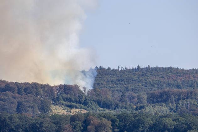Waldbrand Möhnesee Seit 15:00 Uhr bekämpfen die Einsatzkräfte von Feuerwehr, Rettungsdienst, Hilfsorganisationen und Polizei aus dem gesamten Kreisgebiet einen Waldbrand am Möhnesee im Bereich Grüne Hoffnung - Wilhelmsruh. Aktuell sind rund 300 Einsatzkräfte im Einsatz. Das Feuer hat sich bereits auf eine Fläche von rund 44.000 mÂ² ausgebreitet und ist weiterhin dynamisch. Weitere Einsatzkräfte und Spezialgerät von Wald und Holz NRW sind noch auf der Anfahrt. Aufgrund des Brandes kann es im Bereich des Arnsberger Waldes, in der Soester Börde und in Teilbereichen des Hochsauerlandkreises zu Geruchsbelästigungen kommen. Möhnesee Naturpark Möhnesee-Havesse Nordrhein-Westfalen Deutschland