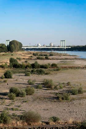 Poller Wiesen und Rodenkirchener Brücke - Durch die historisch niedrigen Pegelstände im Rhein ist die Logistik extremst gestört. Hierdurch entstehen Herausforderungen und Folgen für den Alltag. Es droht das Abschneiden der Transportwege im Rhein. Die Kosten für den Verbraucher steigen im Bereich der Lebensmitteln, bei den Kraftstoffen und anderen Bereichen durch gestiegene Transportkosten. Unternehmen sind gezwungen, die Produktionen zu drosseln. Köln, 13.08.2026