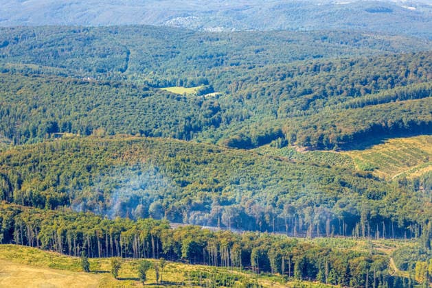 Luftbild Arnsberg, gelöschter Waldbrand im Arnsberger Wald bei Delecke, Möhnesee, Feuerwehr, Brandwache, Sauerland, Nordrhein-Westfalen, Deutschland !ACHTUNGxMINDESTHONORARx60xEURO!
