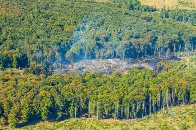 Luftbild Arnsberg, gelöschter Waldbrand im Arnsberger Wald bei Delecke, Möhnesee, Feuerwehr, Brandwache, Sauerland, Nordrhein-Westfalen, Deutschland !ACHTUNGxMINDESTHONORARx60xEURO!