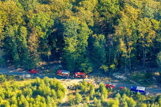 Luftbild Arnsberg, gelöschter Waldbrand im Arnsberger Wald bei Delecke, Möhnesee, Feuerwehr, Brandwache, Sauerland, Nordrhein-Westfalen, Deutschland !ACHTUNGxMINDESTHONORARx60xEURO!