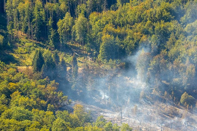 Luftbild Arnsberg, gelöschter Waldbrand im Arnsberger Wald bei Delecke, Möhnesee, Feuerwehr, Brandwache, Sauerland, Nordrhein-Westfalen, Deutschland !ACHTUNGxMINDESTHONORARx60xEURO!