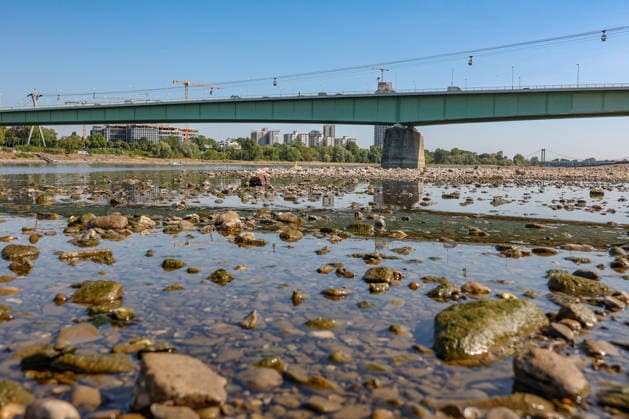 Sommer im Rheinland. Blick auf den Rhein bei Koeln (Köln) - Deutz. Der Rhein in Koeln (Köln) fuehrt (führt) Niedrigwasser aufgrund anhaltender Trockenheit. In der Bildmitte die Zoobruecke (Zoobrücke). Sommer im Rheinland am 14.08.2026 in Koeln (Köln) Deutschland.