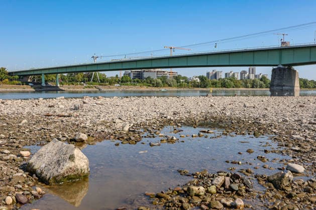 Sommer im Rheinland. Blick auf den Rhein bei Koeln (Köln) - Deutz. Der Rhein in Koeln (Köln) fuehrt (führt) Niedrigwasser aufgrund anhaltender Trockenheit. In der Bildmitte die Zoobruecke (Zoobrücke). Sommer im Rheinland am 14.08.2026 in Koeln (Köln) Deutschland.