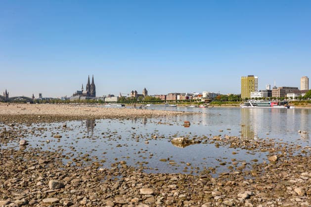 Sommer im Rheinland. Blick auf den Rhein bei Koeln (Köln) - Deutz. Der Rhein in Koeln (Köln) fuehrt (führt) Niedrigwasser aufgrund anhaltender Trockenheit. Im Hintergrund die Hohenzollernbruecke (Hohenzollernbrücke) (links) und der Koelner (Kölner) Dom (rechts). Sommer im Rheinland am 14.08.2026 in Koeln (Köln) Deutschland.