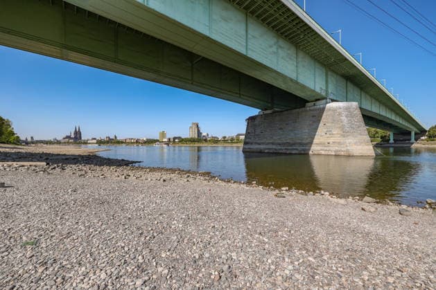 Sommer im Rheinland. Blick auf den Rhein bei Koeln (Köln) - Deutz. Der Rhein in Koeln (Köln) fuehrt (führt) Niedrigwasser aufgrund anhaltender Trockenheit. In der Bildmitte die Zoobruecke (Zoobrücke). Im Hintergrund links der Koelner (Kölner) Dom. Sommer im Rheinland am 14.08.2026 in Koeln (Köln) Deutschland.