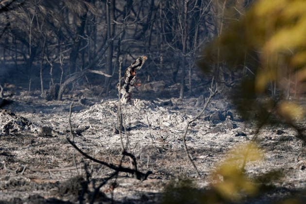 14.08.2026 - Europa, Kroatien, Ninski Stanovi: Großflächiger Vegetationsbrand zwischen Ninski Stanovi und Å½erava in der Gespanschaft Zadar. Zahlreiche Feuerwehrkräfte kämpfen gegen die Flammen. Ein Air Tractor und zwei Canadair sind zur Unterstützung der Löscharbeiten aus der Luft unterwegs. Starker Wind erschwert den Einsatz und begünstigt die Ausbreitung des Feuers. 14.08.2026 - Europa, Hrvatska, Ninski Stanovi: Veliki poÅ¾ar otvorenog prostora izmeÄ‘u Ninskih Stanova i Å½erave u Zadarskoj Å¾upaniji. Brojne vatrogasne snage bore se s vatrom. Air Tractor i Canadair upuÄ‡eni su na poÅ¾ariÅ¡te kako bi pomogli u gaÅ¡enju iz zraka. Jak vjetar oteÅ¾ava gaÅ¡enje i pogoduje Å¡irenju poÅ¾ara. Copyright: xLUKAxKOLANOVICx