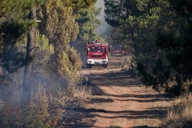 14.08.2026 - Europa, Kroatien, Ninski Stanovi: Großflächiger Vegetationsbrand zwischen Ninski Stanovi und Å½erava in der Gespanschaft Zadar. Zahlreiche Feuerwehrkräfte kämpfen gegen die Flammen. Ein Air Tractor und zwei Canadair sind zur Unterstützung der Löscharbeiten aus der Luft unterwegs. Starker Wind erschwert den Einsatz und begünstigt die Ausbreitung des Feuers. 14.08.2026 - Europa, Hrvatska, Ninski Stanovi: Veliki poÅ¾ar otvorenog prostora izmeÄ‘u Ninskih Stanova i Å½erave u Zadarskoj Å¾upaniji. Brojne vatrogasne snage bore se s vatrom. Air Tractor i Canadair upuÄ‡eni su na poÅ¾ariÅ¡te kako bi pomogli u gaÅ¡enju iz zraka. Jak vjetar oteÅ¾ava gaÅ¡enje i pogoduje Å¡irenju poÅ¾ara. Copyright: xLUKAxKOLANOVICx