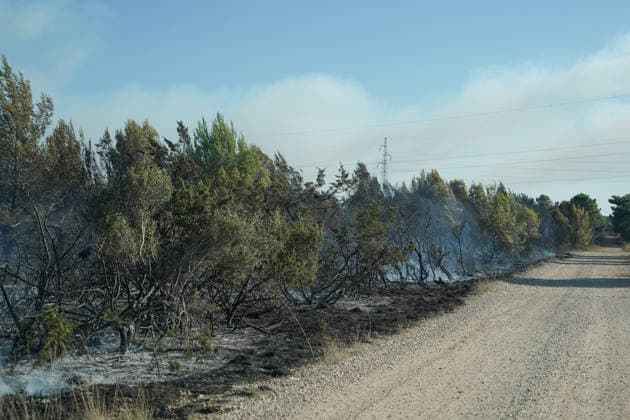 14.08.2026 - Europa, Kroatien, Ninski Stanovi: Großflächiger Vegetationsbrand zwischen Ninski Stanovi und Å½erava in der Gespanschaft Zadar. Zahlreiche Feuerwehrkräfte kämpfen gegen die Flammen. Ein Air Tractor und zwei Canadair sind zur Unterstützung der Löscharbeiten aus der Luft unterwegs. Starker Wind erschwert den Einsatz und begünstigt die Ausbreitung des Feuers. 14.08.2026 - Europa, Hrvatska, Ninski Stanovi: Veliki poÅ¾ar otvorenog prostora izmeÄ‘u Ninskih Stanova i Å½erave u Zadarskoj Å¾upaniji. Brojne vatrogasne snage bore se s vatrom. Air Tractor i Canadair upuÄ‡eni su na poÅ¾ariÅ¡te kako bi pomogli u gaÅ¡enju iz zraka. Jak vjetar oteÅ¾ava gaÅ¡enje i pogoduje Å¡irenju poÅ¾ara. Copyright: xLUKAxKOLANOVICx