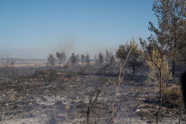 14.08.2026 - Europa, Kroatien, Ninski Stanovi: Großflächiger Vegetationsbrand zwischen Ninski Stanovi und Å½erava in der Gespanschaft Zadar. Zahlreiche Feuerwehrkräfte kämpfen gegen die Flammen. Ein Air Tractor und zwei Canadair sind zur Unterstützung der Löscharbeiten aus der Luft unterwegs. Starker Wind erschwert den Einsatz und begünstigt die Ausbreitung des Feuers. 14.08.2026 - Europa, Hrvatska, Ninski Stanovi: Veliki poÅ¾ar otvorenog prostora izmeÄ‘u Ninskih Stanova i Å½erave u Zadarskoj Å¾upaniji. Brojne vatrogasne snage bore se s vatrom. Air Tractor i Canadair upuÄ‡eni su na poÅ¾ariÅ¡te kako bi pomogli u gaÅ¡enju iz zraka. Jak vjetar oteÅ¾ava gaÅ¡enje i pogoduje Å¡irenju poÅ¾ara. Copyright: xLUKAxKOLANOVICx