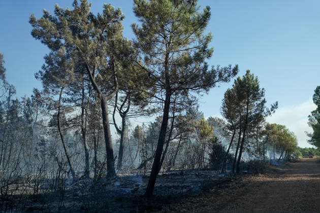 14.08.2026 - Europa, Kroatien, Ninski Stanovi: Großflächiger Vegetationsbrand zwischen Ninski Stanovi und Å½erava in der Gespanschaft Zadar. Zahlreiche Feuerwehrkräfte kämpfen gegen die Flammen. Ein Air Tractor und zwei Canadair sind zur Unterstützung der Löscharbeiten aus der Luft unterwegs. Starker Wind erschwert den Einsatz und begünstigt die Ausbreitung des Feuers. 14.08.2026 - Europa, Hrvatska, Ninski Stanovi: Veliki poÅ¾ar otvorenog prostora izmeÄ‘u Ninskih Stanova i Å½erave u Zadarskoj Å¾upaniji. Brojne vatrogasne snage bore se s vatrom. Air Tractor i Canadair upuÄ‡eni su na poÅ¾ariÅ¡te kako bi pomogli u gaÅ¡enju iz zraka. Jak vjetar oteÅ¾ava gaÅ¡enje i pogoduje Å¡irenju poÅ¾ara. Copyright: xLUKAxKOLANOVICx