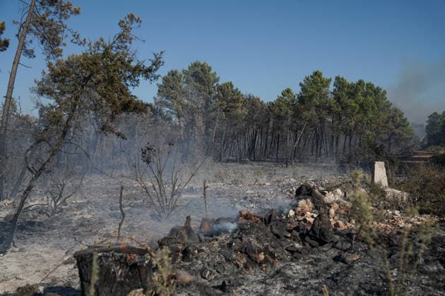 14.08.2026 - Europa, Kroatien, Ninski Stanovi: Großflächiger Vegetationsbrand zwischen Ninski Stanovi und Å½erava in der Gespanschaft Zadar. Zahlreiche Feuerwehrkräfte kämpfen gegen die Flammen. Ein Air Tractor und zwei Canadair sind zur Unterstützung der Löscharbeiten aus der Luft unterwegs. Starker Wind erschwert den Einsatz und begünstigt die Ausbreitung des Feuers. 14.08.2026 - Europa, Hrvatska, Ninski Stanovi: Veliki poÅ¾ar otvorenog prostora izmeÄ‘u Ninskih Stanova i Å½erave u Zadarskoj Å¾upaniji. Brojne vatrogasne snage bore se s vatrom. Air Tractor i Canadair upuÄ‡eni su na poÅ¾ariÅ¡te kako bi pomogli u gaÅ¡enju iz zraka. Jak vjetar oteÅ¾ava gaÅ¡enje i pogoduje Å¡irenju poÅ¾ara. Copyright: xLUKAxKOLANOVICx