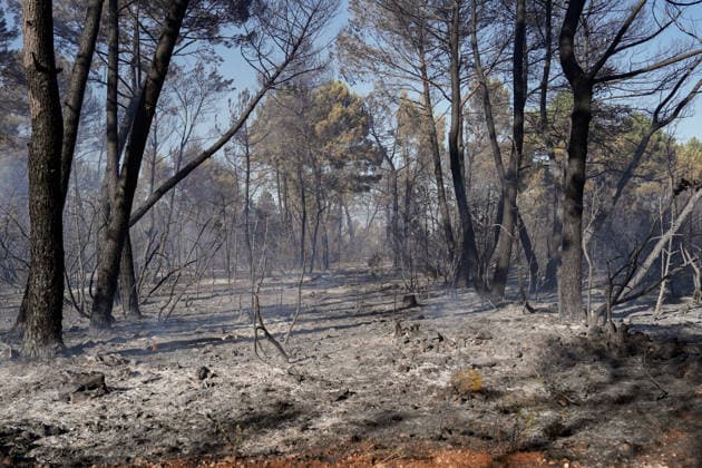 14.08.2026 - Europa, Kroatien, Ninski Stanovi: Großflächiger Vegetationsbrand zwischen Ninski Stanovi und Å½erava in der Gespanschaft Zadar. Zahlreiche Feuerwehrkräfte kämpfen gegen die Flammen. Ein Air Tractor und zwei Canadair sind zur Unterstützung der Löscharbeiten aus der Luft unterwegs. Starker Wind erschwert den Einsatz und begünstigt die Ausbreitung des Feuers. 14.08.2026 - Europa, Hrvatska, Ninski Stanovi: Veliki poÅ¾ar otvorenog prostora izmeÄ‘u Ninskih Stanova i Å½erave u Zadarskoj Å¾upaniji. Brojne vatrogasne snage bore se s vatrom. Air Tractor i Canadair upuÄ‡eni su na poÅ¾ariÅ¡te kako bi pomogli u gaÅ¡enju iz zraka. Jak vjetar oteÅ¾ava gaÅ¡enje i pogoduje Å¡irenju poÅ¾ara. Copyright: xLUKAxKOLANOVICx