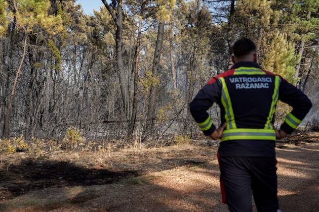 14.08.2026 - Europa, Kroatien, Ninski Stanovi: Großflächiger Vegetationsbrand zwischen Ninski Stanovi und Å½erava in der Gespanschaft Zadar. Zahlreiche Feuerwehrkräfte kämpfen gegen die Flammen. Ein Air Tractor und zwei Canadair sind zur Unterstützung der Löscharbeiten aus der Luft unterwegs. Starker Wind erschwert den Einsatz und begünstigt die Ausbreitung des Feuers. 14.08.2026 - Europa, Hrvatska, Ninski Stanovi: Veliki poÅ¾ar otvorenog prostora izmeÄ‘u Ninskih Stanova i Å½erave u Zadarskoj Å¾upaniji. Brojne vatrogasne snage bore se s vatrom. Air Tractor i Canadair upuÄ‡eni su na poÅ¾ariÅ¡te kako bi pomogli u gaÅ¡enju iz zraka. Jak vjetar oteÅ¾ava gaÅ¡enje i pogoduje Å¡irenju poÅ¾ara. Copyright: xLUKAxKOLANOVICx