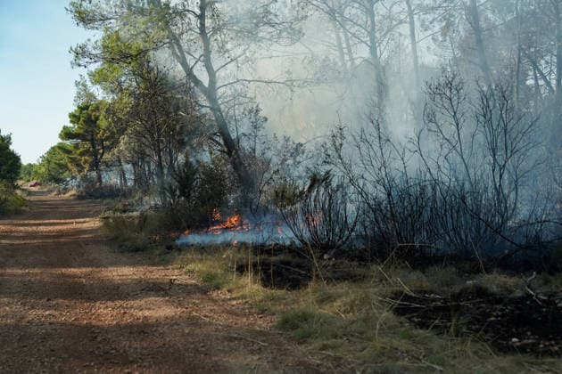 14.08.2026 - Europa, Kroatien, Ninski Stanovi: Großflächiger Vegetationsbrand zwischen Ninski Stanovi und Å½erava in der Gespanschaft Zadar. Zahlreiche Feuerwehrkräfte kämpfen gegen die Flammen. Ein Air Tractor und zwei Canadair sind zur Unterstützung der Löscharbeiten aus der Luft unterwegs. Starker Wind erschwert den Einsatz und begünstigt die Ausbreitung des Feuers. 14.08.2026 - Europa, Hrvatska, Ninski Stanovi: Veliki poÅ¾ar otvorenog prostora izmeÄ‘u Ninskih Stanova i Å½erave u Zadarskoj Å¾upaniji. Brojne vatrogasne snage bore se s vatrom. Air Tractor i Canadair upuÄ‡eni su na poÅ¾ariÅ¡te kako bi pomogli u gaÅ¡enju iz zraka. Jak vjetar oteÅ¾ava gaÅ¡enje i pogoduje Å¡irenju poÅ¾ara. Copyright: xLUKAxKOLANOVICx