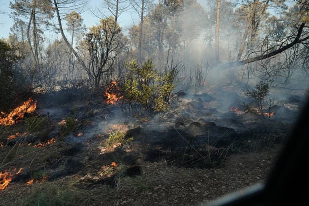 14.08.2026 - Europa, Kroatien, Ninski Stanovi: Großflächiger Vegetationsbrand zwischen Ninski Stanovi und Å½erava in der Gespanschaft Zadar. Zahlreiche Feuerwehrkräfte kämpfen gegen die Flammen. Ein Air Tractor und zwei Canadair sind zur Unterstützung der Löscharbeiten aus der Luft unterwegs. Starker Wind erschwert den Einsatz und begünstigt die Ausbreitung des Feuers. 14.08.2026 - Europa, Hrvatska, Ninski Stanovi: Veliki poÅ¾ar otvorenog prostora izmeÄ‘u Ninskih Stanova i Å½erave u Zadarskoj Å¾upaniji. Brojne vatrogasne snage bore se s vatrom. Air Tractor i Canadair upuÄ‡eni su na poÅ¾ariÅ¡te kako bi pomogli u gaÅ¡enju iz zraka. Jak vjetar oteÅ¾ava gaÅ¡enje i pogoduje Å¡irenju poÅ¾ara. Copyright: xLUKAxKOLANOVICx