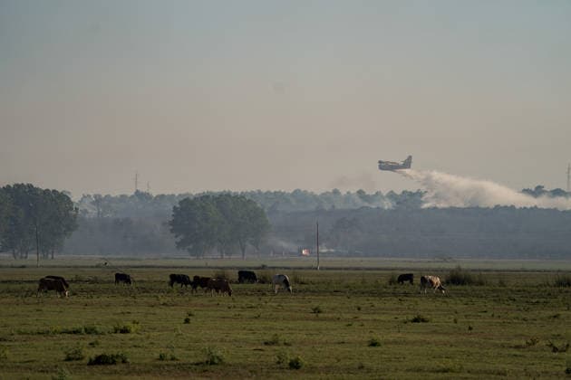14.08.2026 - Europa, Kroatien, Ninski Stanovi: Großflächiger Vegetationsbrand zwischen Ninski Stanovi und Å½erava in der Gespanschaft Zadar. Zahlreiche Feuerwehrkräfte kämpfen gegen die Flammen. Ein Air Tractor und zwei Canadair sind zur Unterstützung der Löscharbeiten aus der Luft unterwegs. Starker Wind erschwert den Einsatz und begünstigt die Ausbreitung des Feuers. 14.08.2026 - Europa, Hrvatska, Ninski Stanovi: Veliki poÅ¾ar otvorenog prostora izmeÄ‘u Ninskih Stanova i Å½erave u Zadarskoj Å¾upaniji. Brojne vatrogasne snage bore se s vatrom. Air Tractor i Canadair upuÄ‡eni su na poÅ¾ariÅ¡te kako bi pomogli u gaÅ¡enju iz zraka. Jak vjetar oteÅ¾ava gaÅ¡enje i pogoduje Å¡irenju poÅ¾ara. Copyright: xLUKAxKOLANOVICx