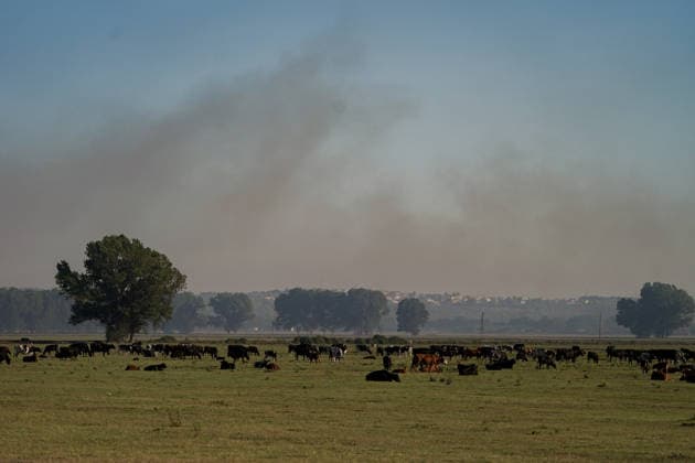 14.08.2026 - Europa, Kroatien, Ninski Stanovi: Großflächiger Vegetationsbrand zwischen Ninski Stanovi und Å½erava in der Gespanschaft Zadar. Zahlreiche Feuerwehrkräfte kämpfen gegen die Flammen. Ein Air Tractor und zwei Canadair sind zur Unterstützung der Löscharbeiten aus der Luft unterwegs. Starker Wind erschwert den Einsatz und begünstigt die Ausbreitung des Feuers. 14.08.2026 - Europa, Hrvatska, Ninski Stanovi: Veliki poÅ¾ar otvorenog prostora izmeÄ‘u Ninskih Stanova i Å½erave u Zadarskoj Å¾upaniji. Brojne vatrogasne snage bore se s vatrom. Air Tractor i Canadair upuÄ‡eni su na poÅ¾ariÅ¡te kako bi pomogli u gaÅ¡enju iz zraka. Jak vjetar oteÅ¾ava gaÅ¡enje i pogoduje Å¡irenju poÅ¾ara. Copyright: xLUKAxKOLANOVICx